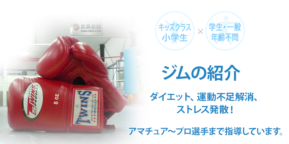 �W���̏Љ�b���Q�̃g���[�j���O�W���Ȃ�L�b�N�{�N�V���O���E��ىF�a���W��