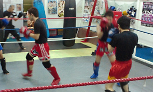 �w���E��ʁi�N��s��j